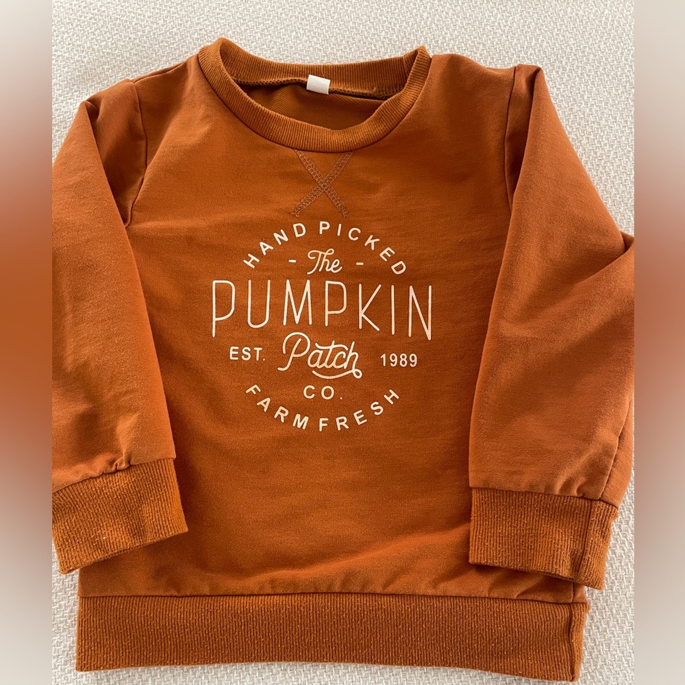 Pumpkin Patch Toddler Sweatshirt